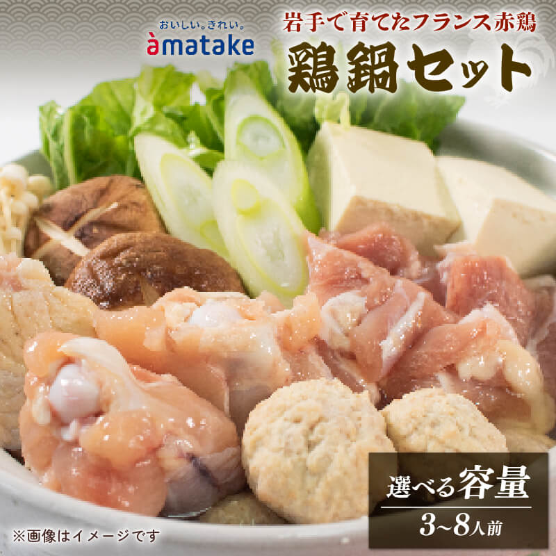 【ふるさと納税】 選べる 赤鶏塩鍋セット 3〜8人前 [9-4月発送] 秋冬限定 冷凍 鶏肉 チキン もも角切り肉 鶏肉だんご 塩鍋つゆ 塩 鍋 冬 鶏 とり 肉 赤鶏 簡単調理 冷凍 お手軽 ごはん 夕飯 おかず おつまみ 晩酌 米 丼 chicken meat アマタケ TV 大船渡 三陸 岩手県 国産