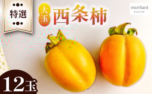 
            特選 大玉西条柿12玉【先行予約 柿 かき カキ 果物 フルーツ 大玉 西条柿 高糖度 渋抜き処理済 12玉 3L 期間限定 季節限定 先行予約 早期予約 10月下旬～11月上旬発送】
          