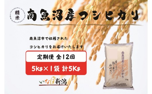 【令和7年産】【定期配送】南魚沼産コシヒカリ 白米 5kg 全12回【定期便 銘柄米 ブランド米 精米 こしひかり コシヒカリ 魚沼産 新潟米 産地直送 お米 米 こめ コメ ご飯 御飯 ごはん】