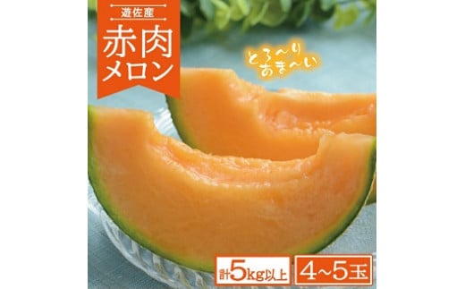 821R07　赤肉メロン　計5kg以上（4～5玉）
