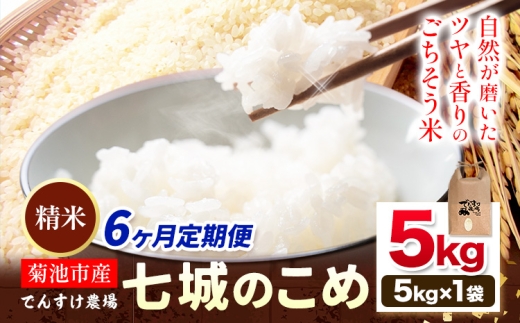 【先行予約】【6ヶ月定期便】令和8年産 精米 七城のこめ 5kg《11月上旬以降から順次出荷》熊本県 菊池市 米 白米 ヒノヒカリ でんすけ農場