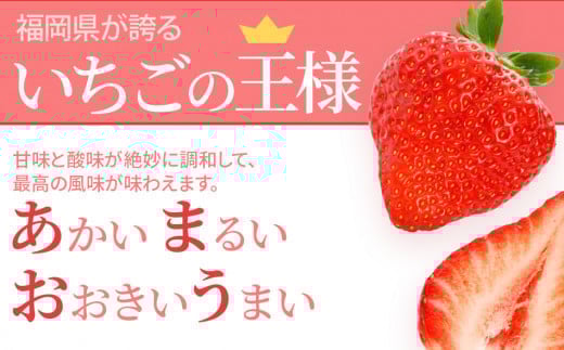 あまおう三昧（フローズンあまおう、あまおうピューレ、あまおうコンフィチュール） BD04