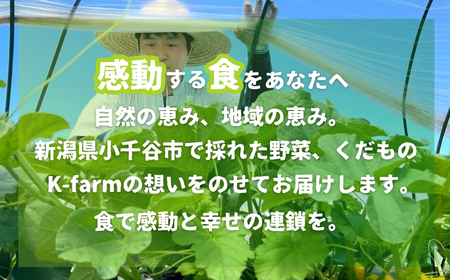 K-farmのこだわりメロン 5種類の中から おまかせ 厳選 2玉