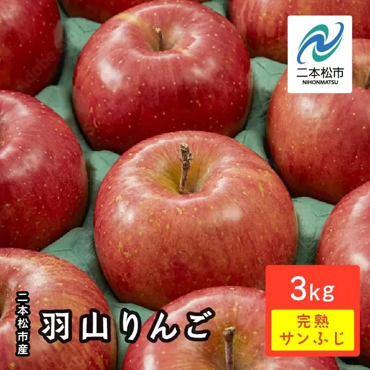 《2026年12月上旬以降順次発送》羽山りんご 完熟サンふじ 3kg【羽山果樹組合】