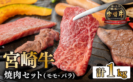 KU031-2 ＜宮崎牛＞宮崎牛の焼肉セット 計1kg(モモ600g、バラ400g) 【KU031】