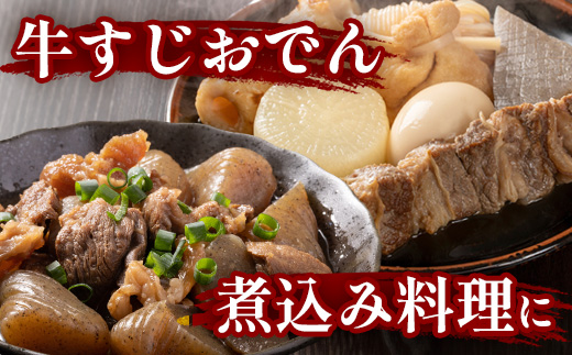 【 定期便 6回 】 熊本 あか牛 スジ肉 1㎏ × 6回 【 合計 6kg 】 牛スジ 【 熊本 熊本県産 あか牛 牛肉 ブランド 肉 お肉 ヘルシー すじ 牛スジ 牛筋 煮込み カレー 冷凍 国産