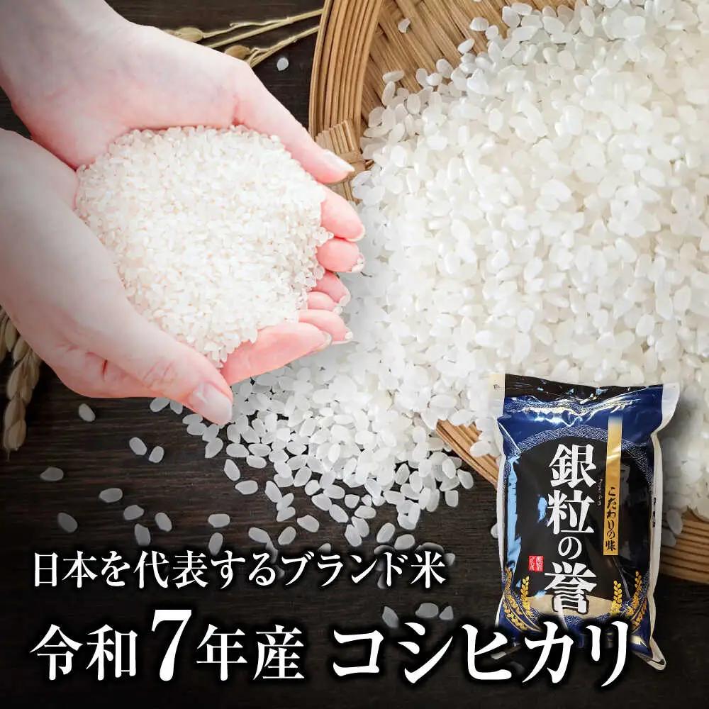 【令和7年産】こしひかり 10kg 【スピード発送】アグリ君田 [APDC002] コシヒカリ