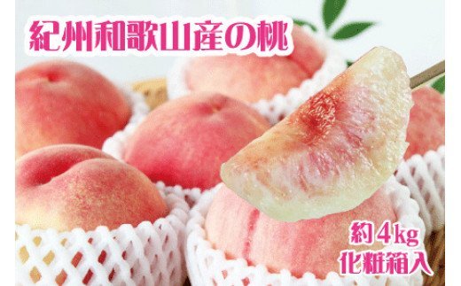 紀州和歌山産の桃　約4kg　化粧箱入	※2026年6月下旬頃〜2026年8月上旬頃順次発送（お届け日指定不可）【uot723A】