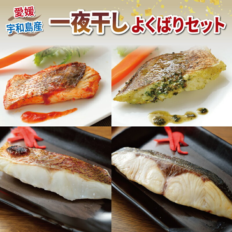 【ふるさと納税】 ＼10営業日以内発送／干物 セット 一夜干し よくばりセット 真鯛 カンパチ アジの開き 詰め合わせ こもねっと バジル トマト 麦味噌 藻塩麴 漬け 冷凍 鯛 マダイ タイ 鯵 魚 惣菜 お惣菜 おかず 冷凍食品 冷凍 産地直送 国産 愛媛 宇和島 D025-008005