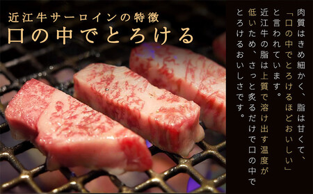 【12月発送】近江牛サーロイン ステーキ 250g×2枚