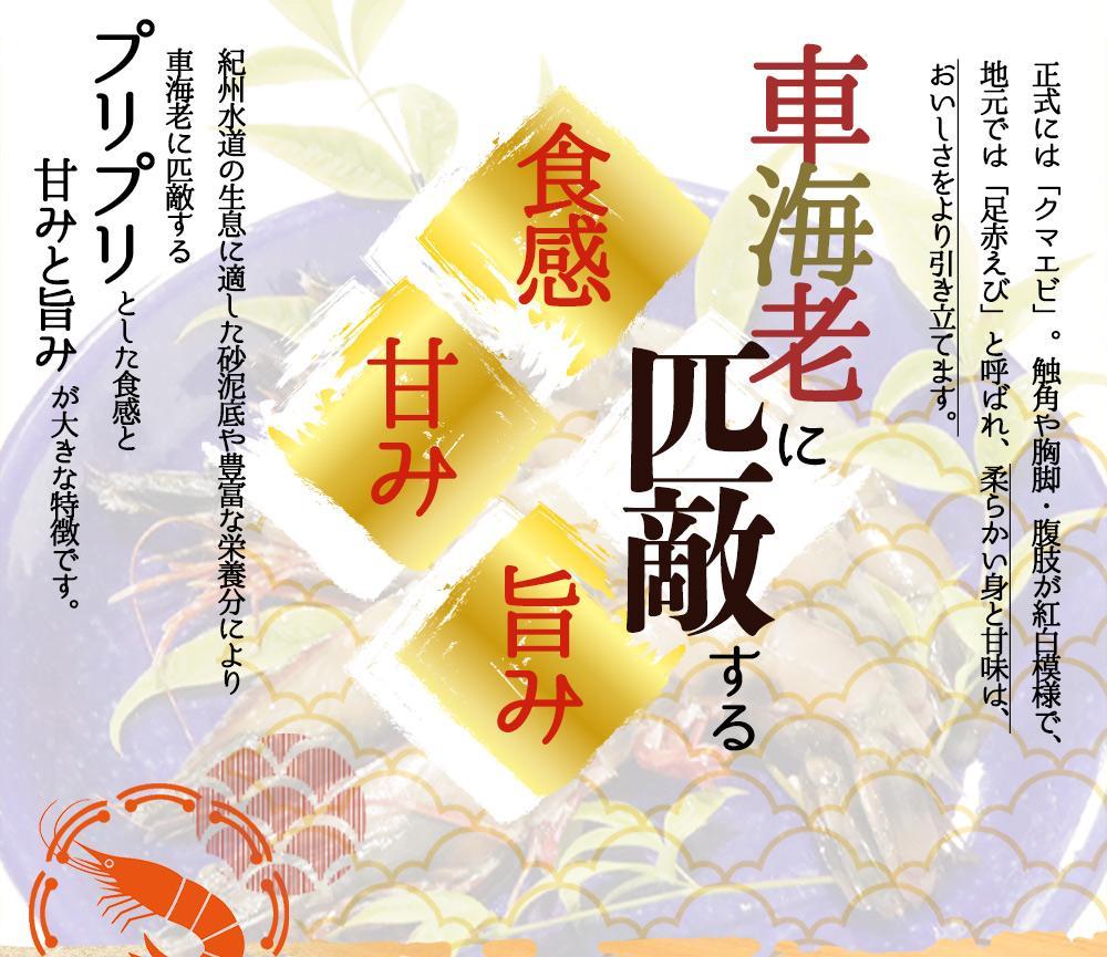 紀州和歌山産天然足赤えび540g×2箱（270g×4パック）　化粧箱入【2025年11月末頃から2026年2月上旬頃に順次発送】【UT24】