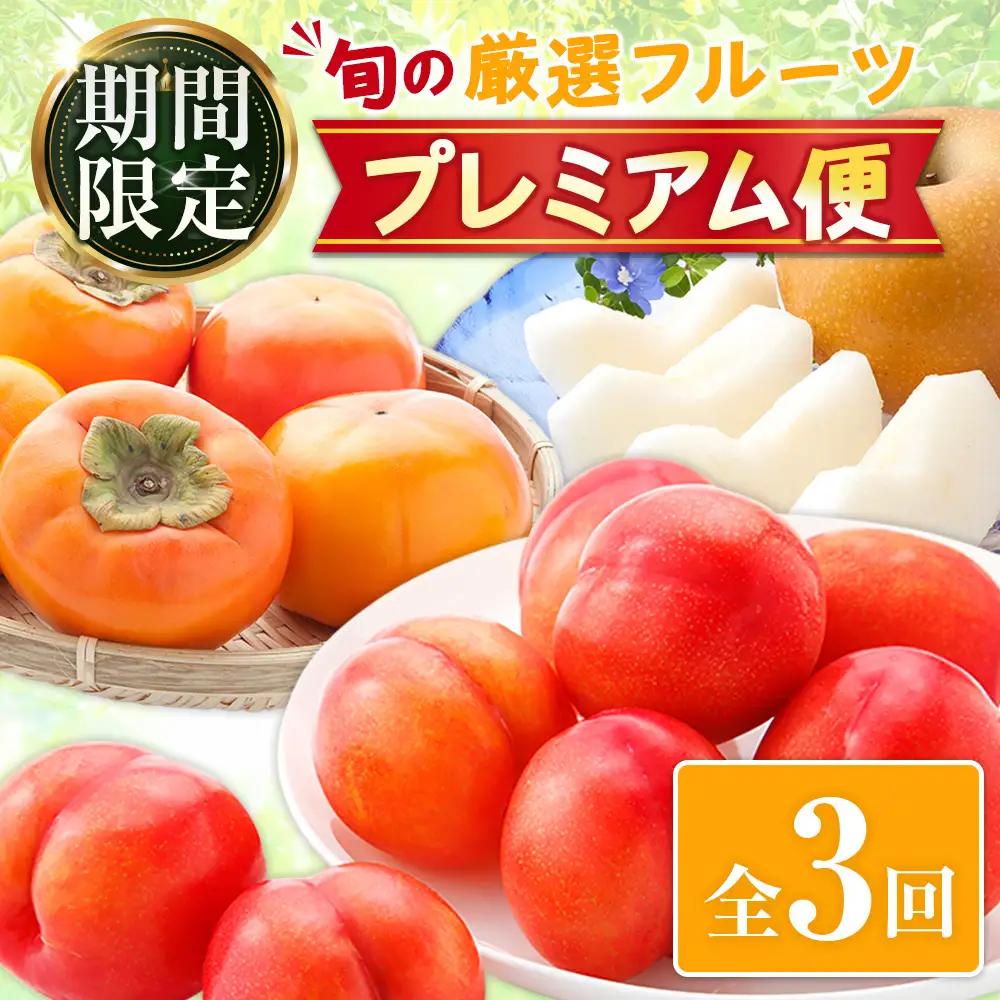 旬の厳選フルーツ プレミアム便 【全3回】（柿／プラム／梨）2026年10月下旬開始 E268-03