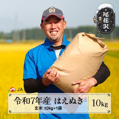 ふるさと納税 尾花沢市 令和7年産 新米「はえぬき」玄米 10kg 山形県尾花沢市産 ja-hagxa10