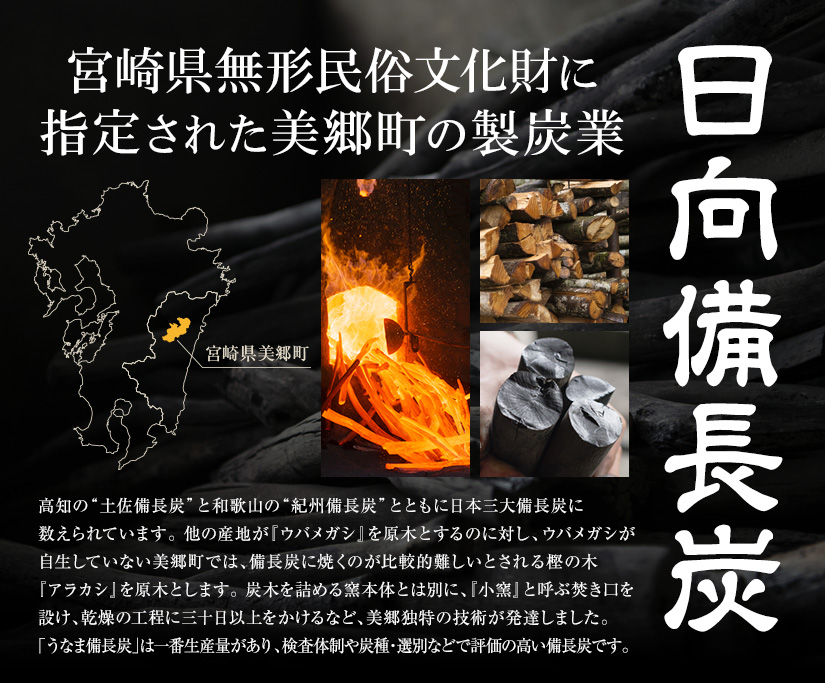 うなま 備長炭 (2級 並) 3kg BBQ 焼肉 バーベキュー 七輪