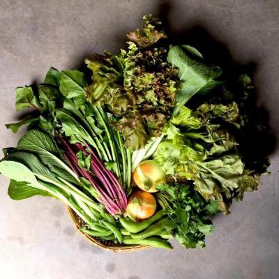 ふるさと納税 京都市 ◆全4回定期便◆【つくだ農園】《有機JAS認証 有機野菜10品入り》 |  | 01