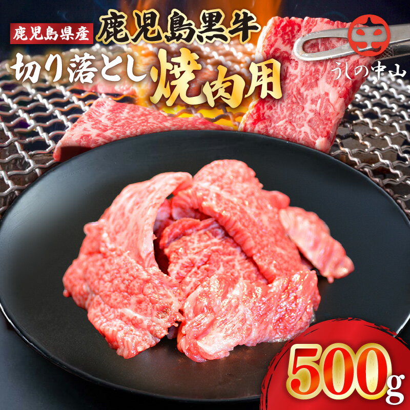 【ふるさと納税】うしの中山 切り落とし 焼肉 用 500g （500g×1パック） 和牛 黒毛和牛 牛肉 【株式会社nixy 中山亭 鹿屋店】