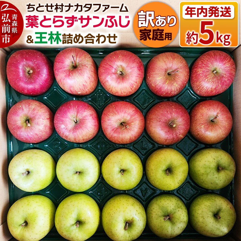 【ふるさと納税】【25年11月〜発送】りんご 葉とらずサンふじ ＆ 王林 詰め合わせ 約5kg 家庭用 訳あり ちとせ村