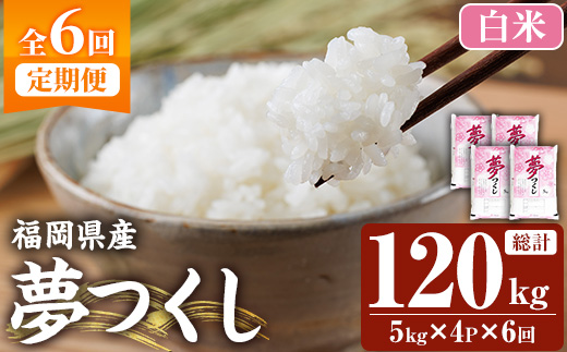 ≪令和7年産新米≫【6回定期便・白米】【食味鑑定士厳選】福岡県産 夢つくし(総計120kg・5kg×4袋×6回) 白米 米 お米 おこめ ごはん ゆめつくし ご飯 常温 福岡県産 ブランド米 定期便 定期 頒布会 常温 常温保存 【ファインリョーコク】as34-019