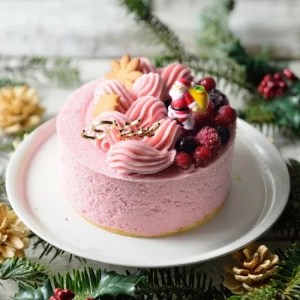 ＜栃木県＞Xmasジェラートケーキ(クリスマスアイスケーキ)※2025年12月上旬より順次発送予定 ※北海道・沖縄・離島・九州・山口県への配送不可