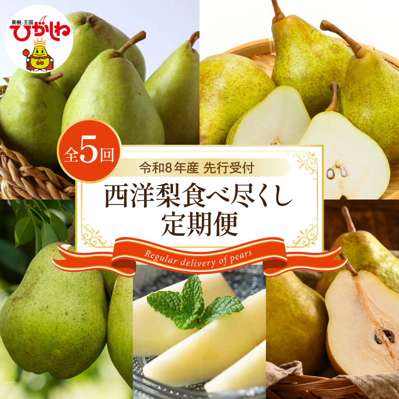 【2026年産 5回定期便】西洋梨食べ尽くし定期便 山形県 東根市 東根農産センター提供 hi027-201-r8
