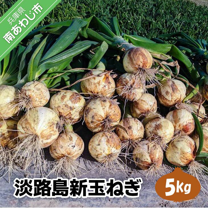 【ふるさと納税】淡路島 「新玉ねぎ」5キロ期間限定！（なくなり次第終了） ふるさと納税 おすすめ