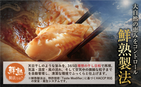 Y61-79 博多バラエティ― 干物詰合せ 15切 干物