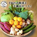 【ふるさと納税】道の駅松浦海のふるさと館『旬のお野菜』の大満足セット！【A7-053】 産地直送 野菜 やさい 旬 セット 詰め合わせ 季節 サラダ 送料無料 松浦 九州 長崎県 送料無料