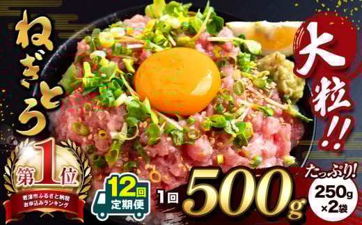 【 12回 定期便 】 大人気！ねぎとろ（ 250g × 2袋 ）合計 500g  清幸丸水産 | ネギトロ とろ 鮪 海鮮 魚介 魚 人気 小分け 人気 定番 ご飯 オススメ | 千葉県 君津市