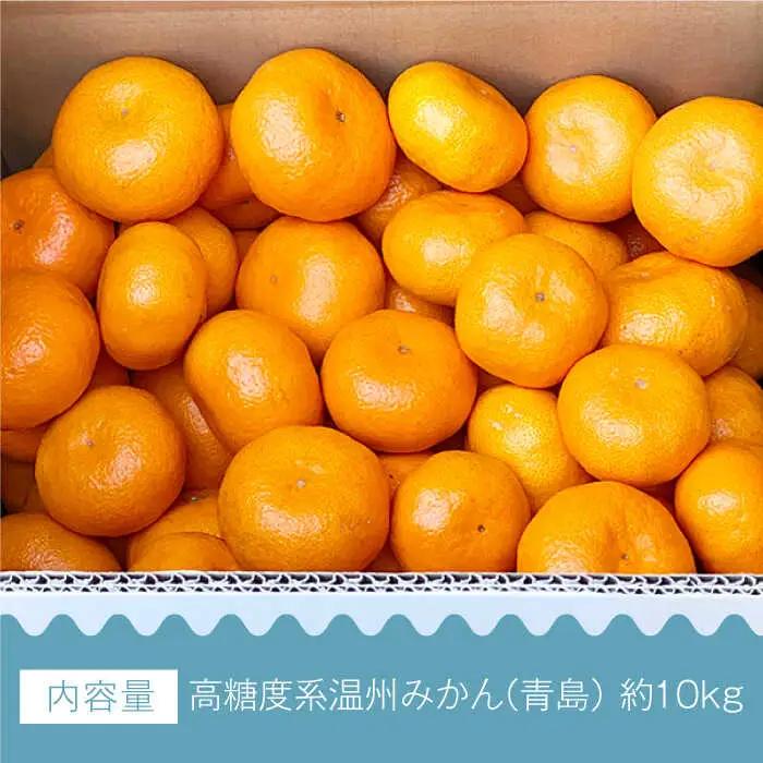 【数量限定】高糖度系 温州みかん(青島) 約10kg[OAF006] ミカン