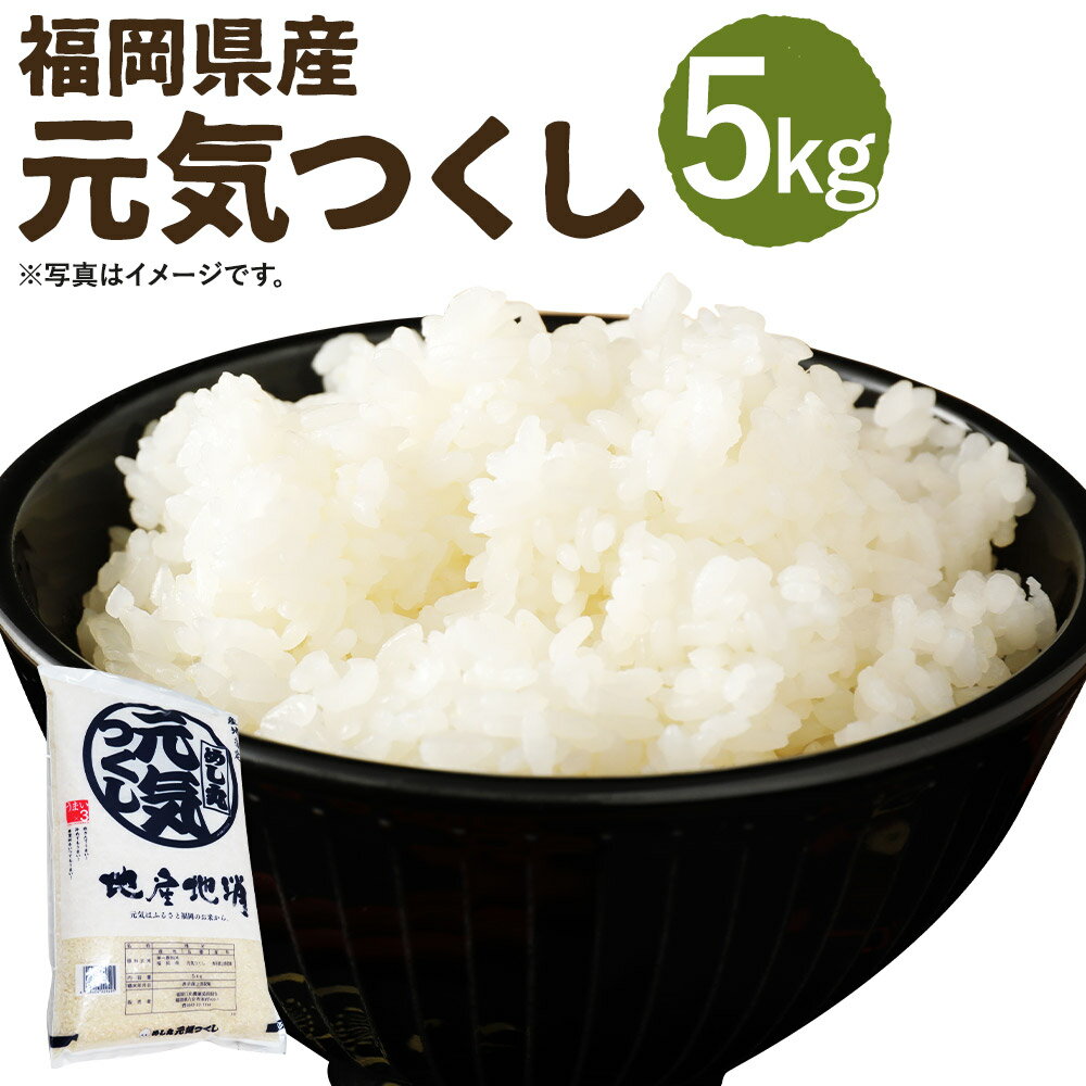 【ふるさと納税】【新米先行予約】元気つくし 5kg 令和7年産 お米 米 精米 白米 福岡県産 九州産 送料無料 【2025年11月以降順次発送開始予定】
