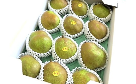 西洋梨（ラ・フランス）６ｋｇ　贈答用　0075-2610