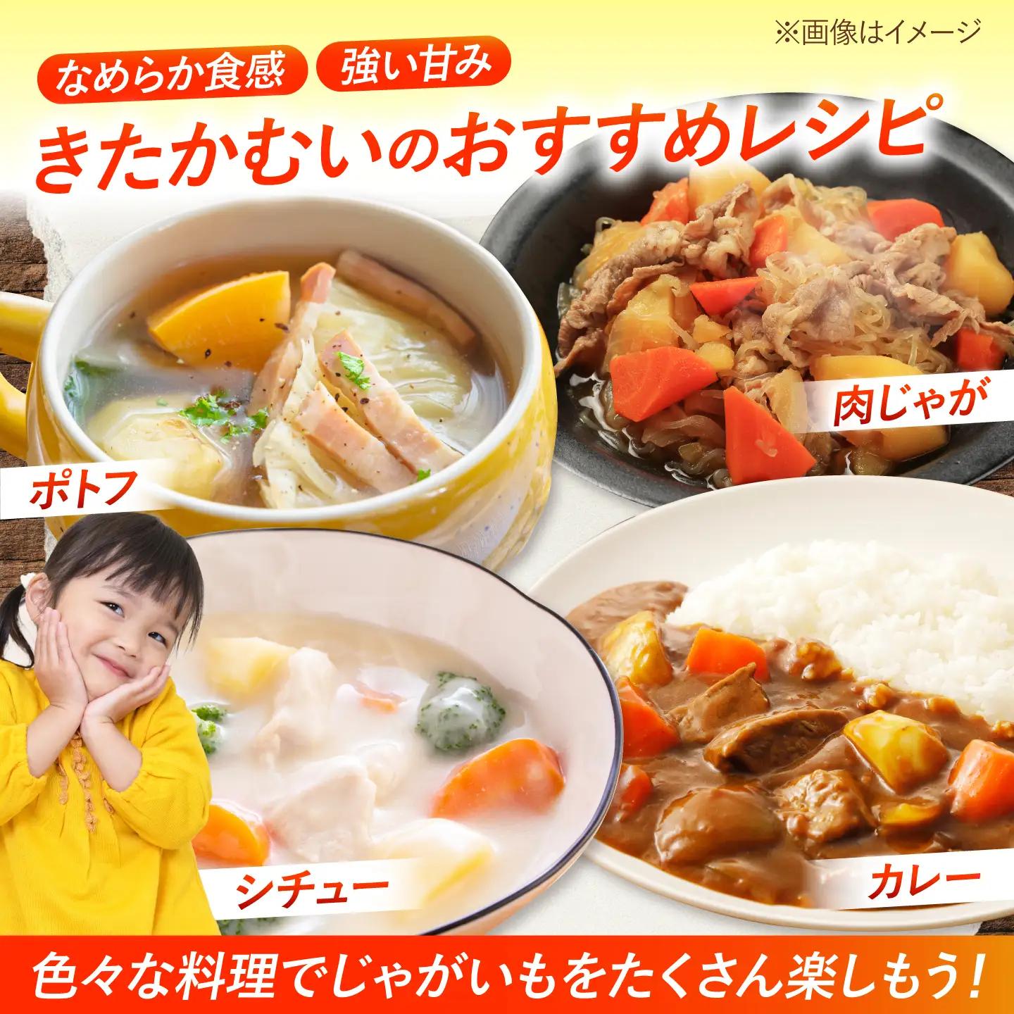 【2027年1月上旬以降順次発送】 じゃがいも きたかむい 5kg | じゃがいも ジャガイモ きたかむい 野菜 季節の野菜 北海道 産地直送 先行予約 | 株式会社Aコープようてい[BPAT007]