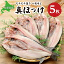 【ふるさと納税】 北海道産 一夜干し 真ほっけ 5枚 セット 焼き魚 おかず 魚醤干し 魚 ホッケ 冷凍 箱入り 贈答 ギフト お返し お取り寄せ 干し魚 札幌ふるさと納税 北海道 札幌市