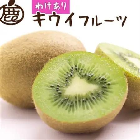 【11月より順次発送】わけあり キウイ5kg+250g(傷み補償分)【訳あり・扁平果】【配送不可地域：北海道・沖縄県】【1630300】