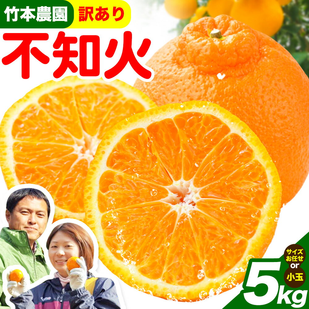 【ふるさと納税】訳あり 不知火 （ デコポン と同品種）選べる 5kg サイズ おまかせ 小玉デコ《2026年3月中旬-5月上旬頃出荷》竹本農園 和歌山県 日高川町 旬 新鮮 果物 柑橘 フルーツ 国産 送料無料 デコポン でこぽん 訳ありデコポン 訳あり不知火