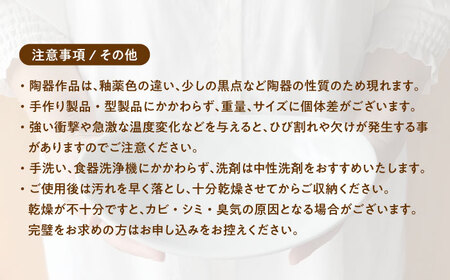 【美濃焼】 オーバル カレー皿 ＆ パスタ皿 24cm 1枚 イエローつやあり 瑞浪市 / 窯元ロングアイランド おしゃれ 食器 シンプル レンジ対応 食洗機対応[AZCU072]