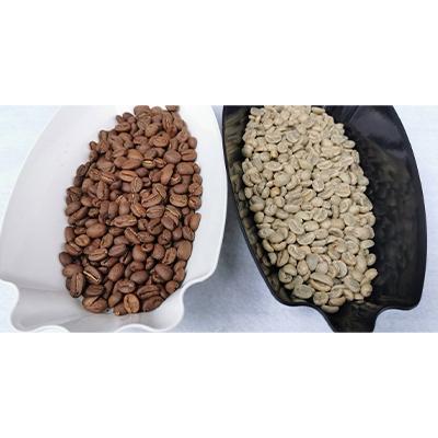 ふるさと納税 守口市 ゴールド珈琲　ブレンドコーヒー(豆)　計100杯分　計1kgセット　 |  | 01