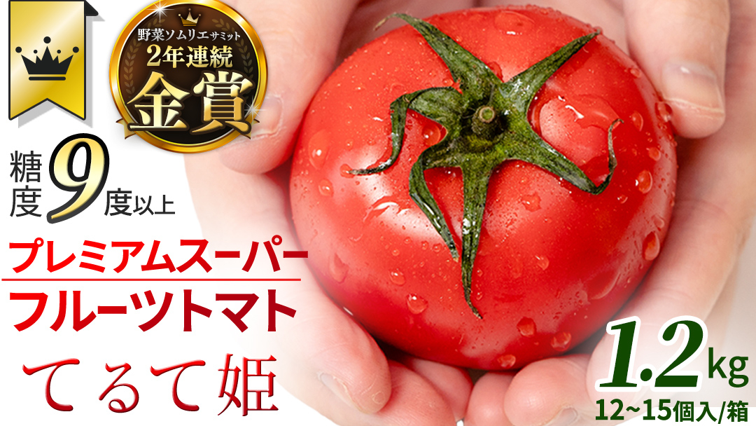 《 2027年 収穫分 》2～3月配送 スーパーフルーツトマト てるて姫 中箱 約1.2kg × 1箱 【12～15玉/1箱】 糖度9度以上 先行予約 フルーツトマト ブランドトマト 野菜 ギフト 贈答 青空レストラン アド街ック天国 グッドモーニング 黄金のワンスプーン 昼めし旅 [BC033sa]