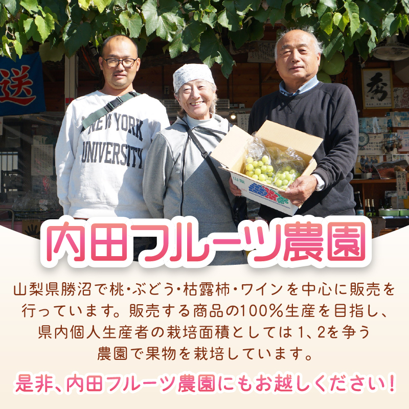 内田フルーツ農園直送の桃 4～7玉（約1.6kg～2kg）【2024年発送】（UF）B-161