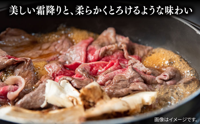 【数量限定】【全12回定期便】【訳あり】 和王 赤身 こま切れ 800g【株式会社ワンエイト】 [ZDA005]