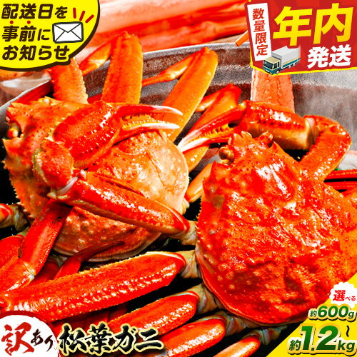【ふるさと納税】＼12/23決済完了分まで年内配送／訳あり カニ 松葉ガニ 足1本なし 600g 1杯分 1.2kg 2杯分《11月中旬-3月中旬頃出荷》鳥取県 八頭町 送料無料 蟹 かに 姿 鍋 ズワイガニ 松葉ガニ ズワイ蟹 ボイル 冷蔵便 松葉蟹 海鮮 魚介 2人前
