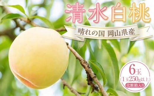 桃 2026年 清水 白桃 6玉（1玉250g以上）化粧箱入りもも モモ 岡山県産 国産 フルーツ 果物 ギフト