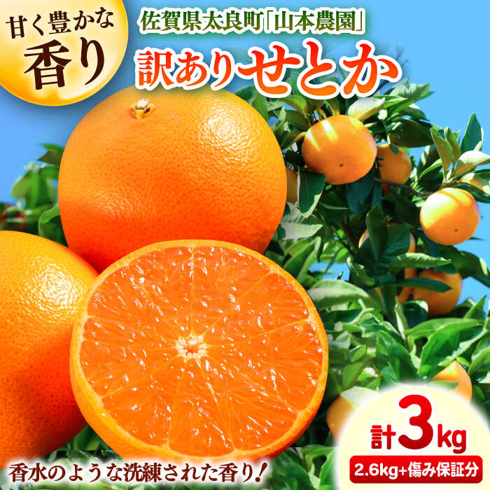 【ふるさと納税】【2027年2月中旬以降発送】【訳あり】せとか 計3kg（2.6kg＋400g傷み保証分） S-3Lサイズ / みかん ミカン 佐賀みかん / 佐賀県 / 山本農園 [41ATBT010]