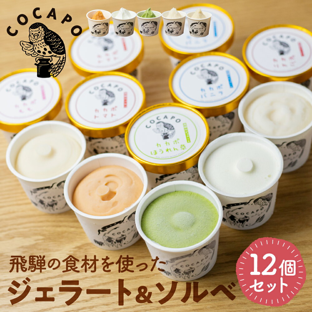 【ふるさと納税】飛騨のジェラート ソルベ 12個入り 詰め合わせ 野菜 スイーツ ヘルシー アイス アイスクリーム ギフト プレゼント 誕生日 国産野菜 カカポ15000円