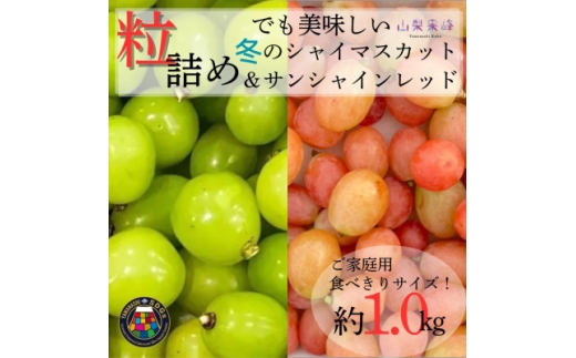 ★2026年度発送　SDGs 粒詰め　冬のシャインマスカット&サンシャインレッド　1kg相当【1752194】
