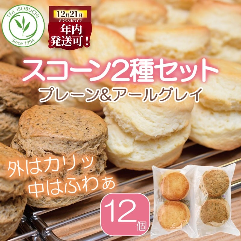
            スコーン 12個 セット 2種 ( プレーン 6個 アールグレイ 6個 ) 焼き菓子 お菓子 焼菓子 おやつ 洋菓子 デザート スイーツ 人気 発酵 バター コク 風味 すこーん スコン scone すこん 常温 ミルクティー 手土産 ギフト プレゼント 手作り 10000円 紅茶 茶 専門店 ティー イソブチカンパニー 神奈川 湘南 藤沢
          