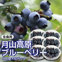 【ふるさと納税】【先行予約 2025年度発送】山形県月山高原産 大澤農園のブルーベリー 100g×6パック 計600g 生食用 爽やかな甘酸っぱさが魅力です フルーツ 果物 くだもの 果実 食品 山形県 FSY-1224