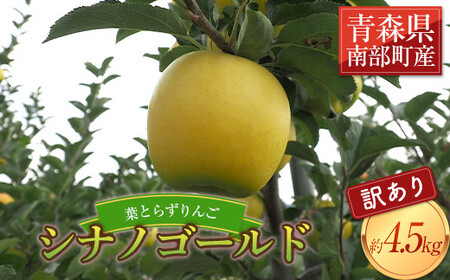 《家庭用》 葉とらずりんご シナノゴールド 約4.5kg 【四戸農園】 減農薬 有機肥料 F21U-370