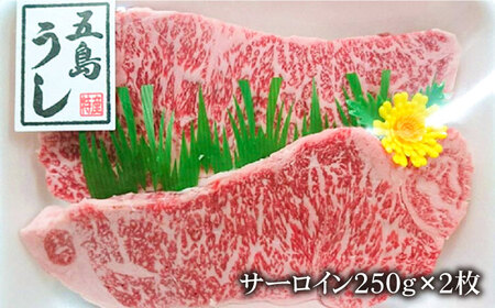 五島牛 サーロインステーキ500g 五島市 / ニク勝 [PBF001] 牛肉 国産 和牛 長崎和牛 五島牛 サーロイン ステーキ 牛肉 国産 和牛 長崎和牛 五島牛 サーロイン ステーキ 牛肉 国産