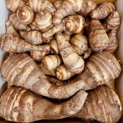 【ふるさと納税】【GI認証取得】とんだばやしの海老芋　1箱(海老芋2kg・孫芋3kg)【1433040】